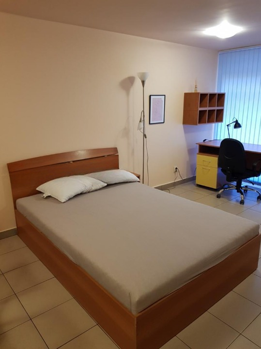 Издаје се  Студио Софија , Центар , 40 м2 | 33654952 - слика [7]