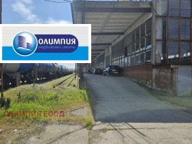 ������ ���� ��� ���� �����