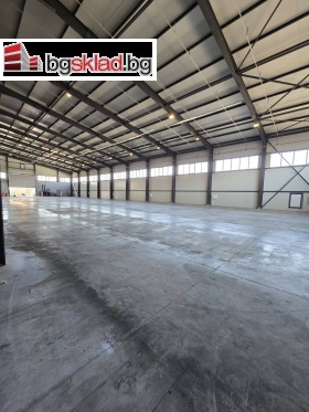 ����� ���� ��� ���� �����,���� �����, �. ��������