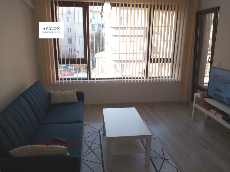 Дава под наем 2-СТАЕН, гр. Пловдив, Център, снимка 12 - Апартаменти - 53085689