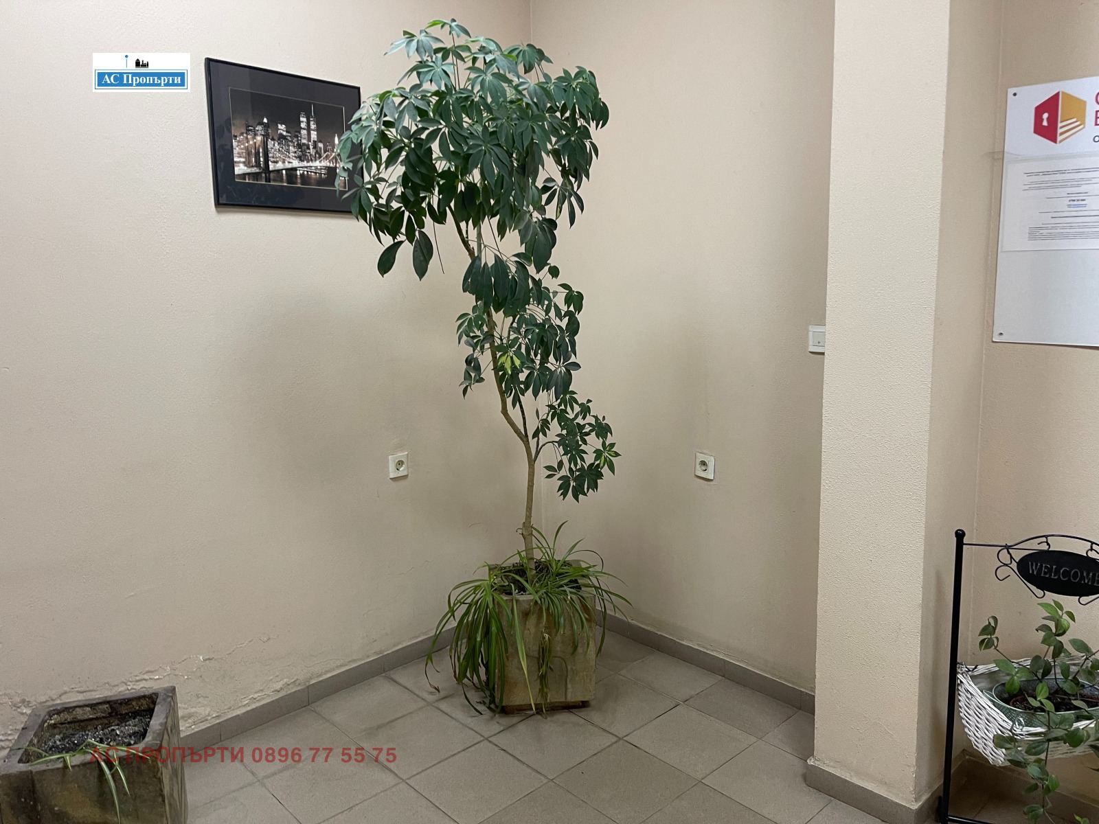 ���� ��� ���� 3-����� | Imot.bg � ����������� 8