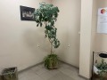 Дава под наем 3-СТАЕН, гр. София, Манастирски ливади, снимка 8