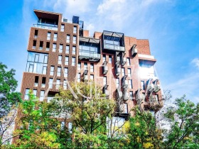 ������ ���� ��� ���� 2-�����