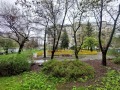 Под наем 2-СТАЕН, град София, Иван Вазов • 600 € • 88660574 — Holmes.bg