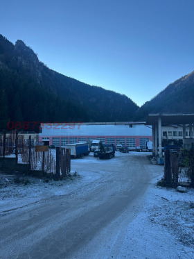 ������ ���� ��� ���� ������ ����