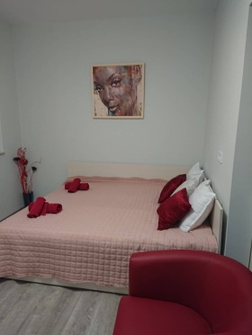 1 Schlafzimmer Zentar, Plowdiw 7