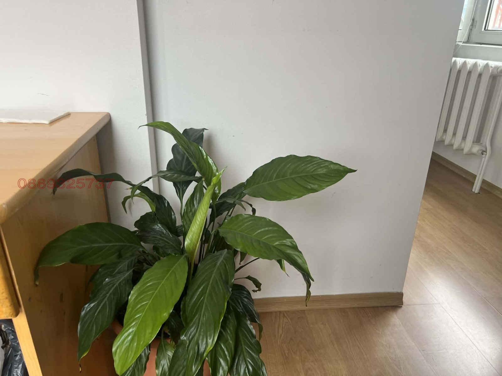 ���� ��� ���� ���� | Imot.bg � ����������� 6