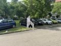 Под наем 2-СТАЕН, град София, Западен парк • 460 € / 899.68 лв. • 18306044 8