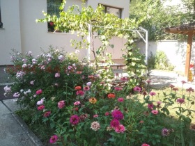    2- | Imot.bg    7