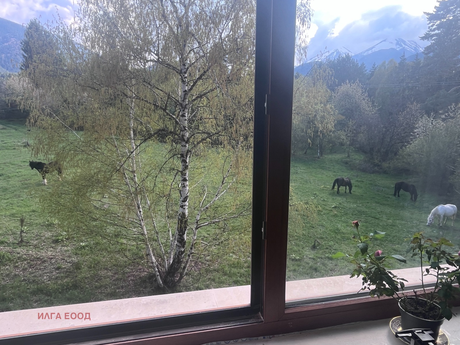 ���� ��� ���� 2-����� | Imot.bg � ����������� 15