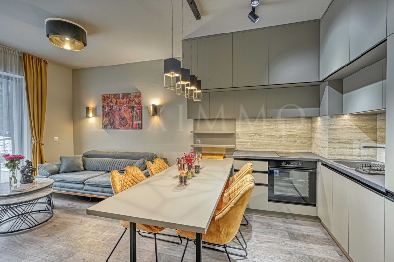 Дава под наем 2-СТАЕН, гр. София, Лозенец, снимка 2 - Апартаменти - 52876951