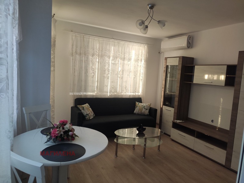 For Rent  1 bedroom Plovdiv , Tsentar , 60 sq.m | 91453842