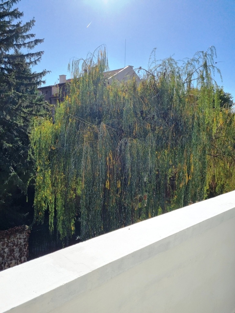 ���� ��� ���� 3-����� | Imot.bg � ����������� 13