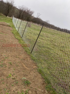 ����� ���� ��� ���� �����,�. �������, ������ ������