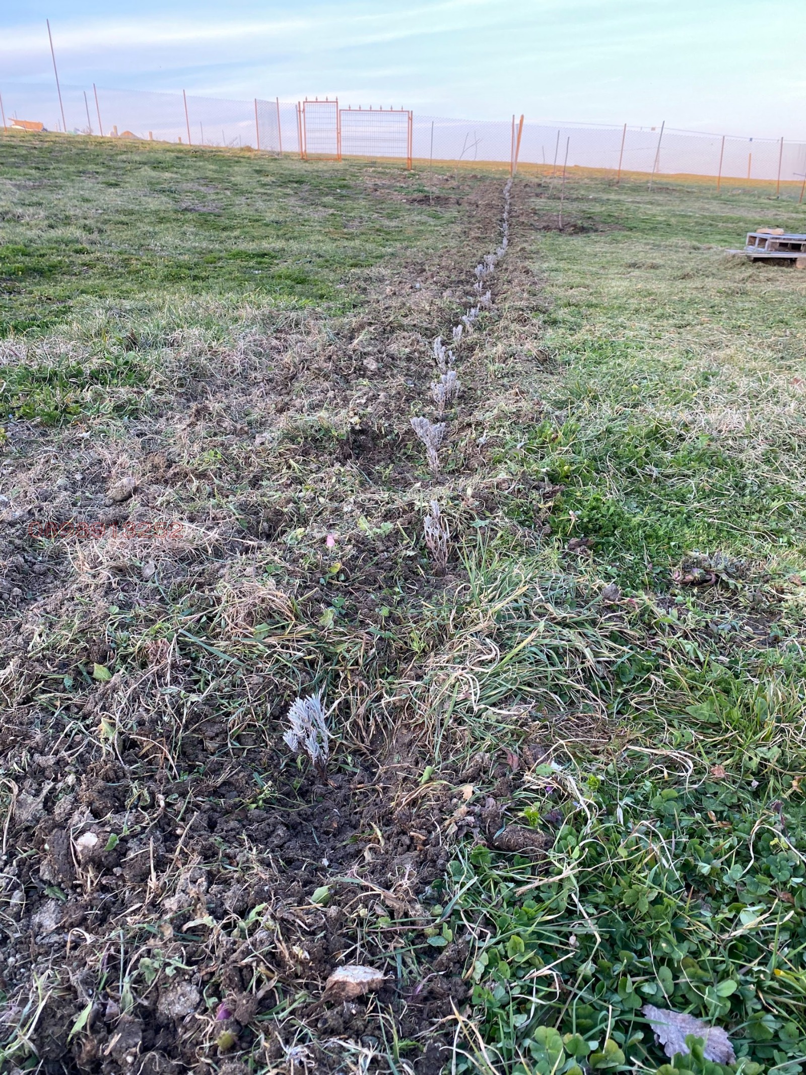 Дава под наем МЯСТО, с. Лозенец, област Бургас, снимка 5 - Парцели - 53825142