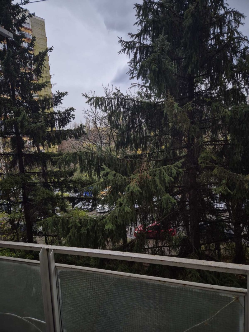 Til leie  Studio Sofia , Dianabad , 47 kvm | 86741291 - bilde [8]