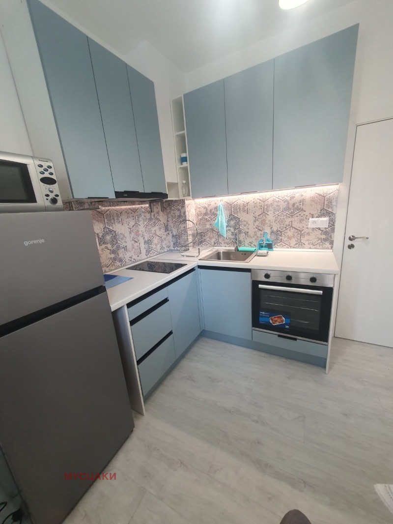 Kiralık  1 yatak odası Sofia , Centar , 65 metrekare | 47564812 - görüntü [7]