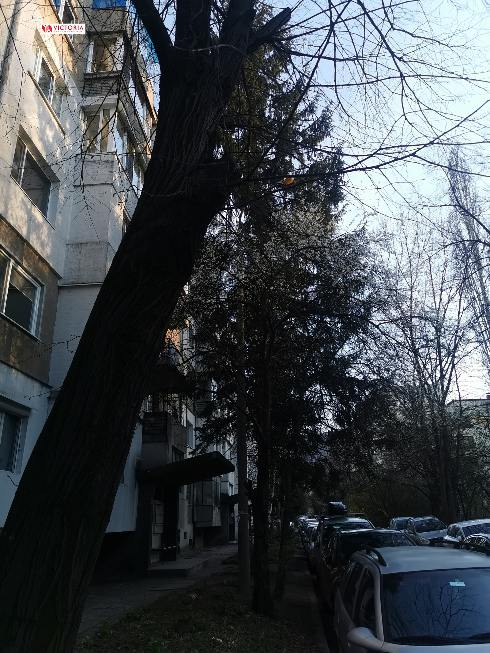 ���� ��� ���� 3-����� | Imot.bg � ����������� 13