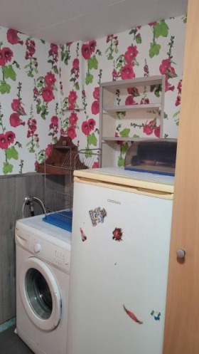 Дава под наем Стая