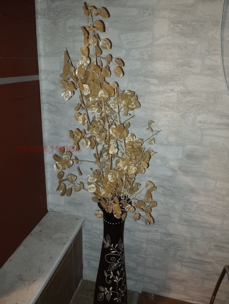 Дава под наем 1-СТАЕН, гр. Банско, област Благоевград, снимка 13 - Апартаменти - 53326976