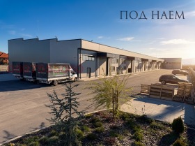 ����� ���� ��� ���� �����,�. �����������, ������ �������