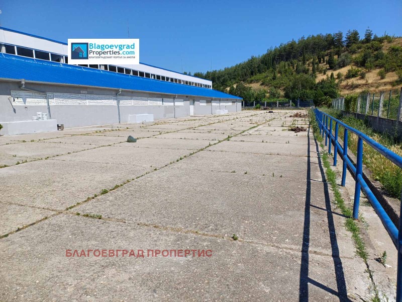 For Rent  Industrial building region Blagoevgrad , Zelendol , 2000 sq.m | 43653334 - image [14]