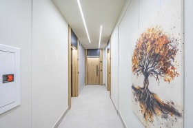 ���� ��� ���� 2-����� | Imot.bg � ����� ������ 14