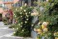 Дава под наем  1-стаен град Варна , Виница , 36 кв.м | 91620358 - изображение [13]