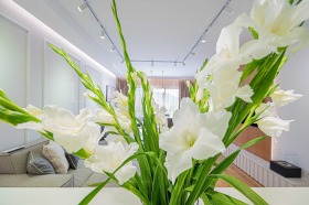 ���� ��� ���� 3-����� | Imot.bg � ����� ������ 14