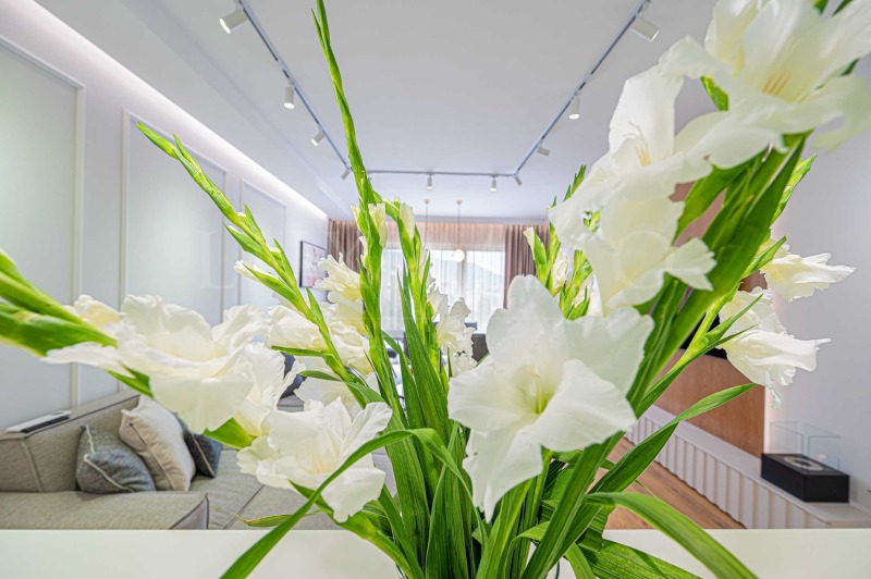 Дава под наем 3-СТАЕН, гр. София, Дианабад, снимка 13 - Апартаменти - 53023448