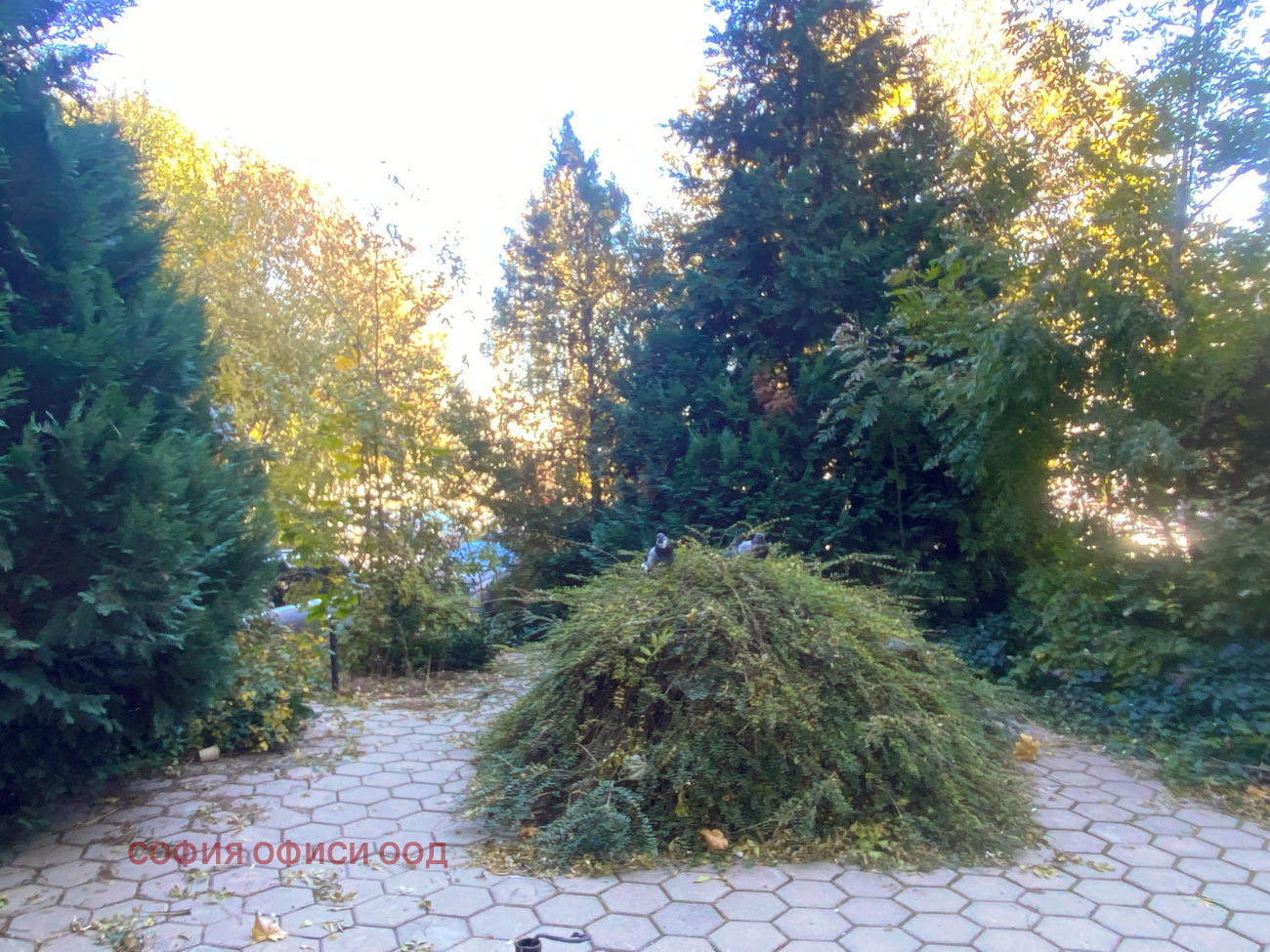 Дава под Наем МАГАЗИН | Imot.bg — изображение 10