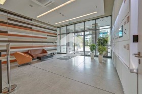 ������ ���� ��� ���� ����