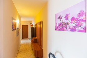    4- | Imot.bg    12
