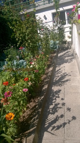 ���� ��� ���� 2-����� | Imot.bg � ����� ������ 10