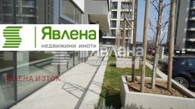 ����� ���� ��� ���� �������,���� �����, ����������