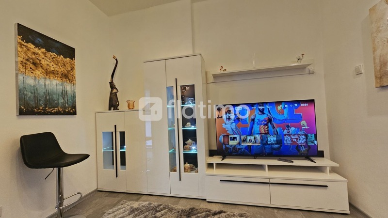 Дава под наем 2-СТАЕН, гр. София, Център, снимка 5 - Апартаменти - 53099488