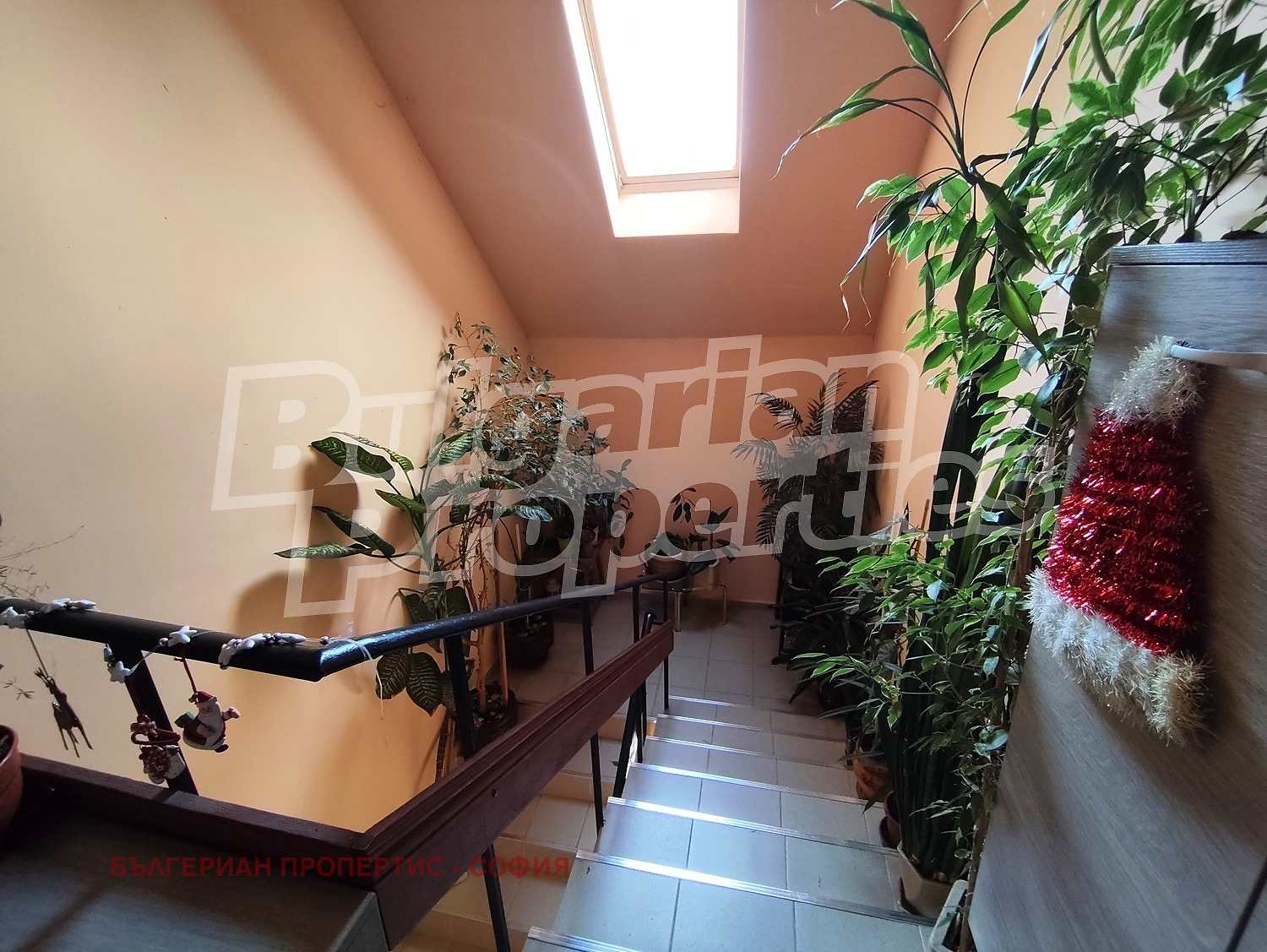 ���� ��� ���� 2-����� | Imot.bg � ����������� 12