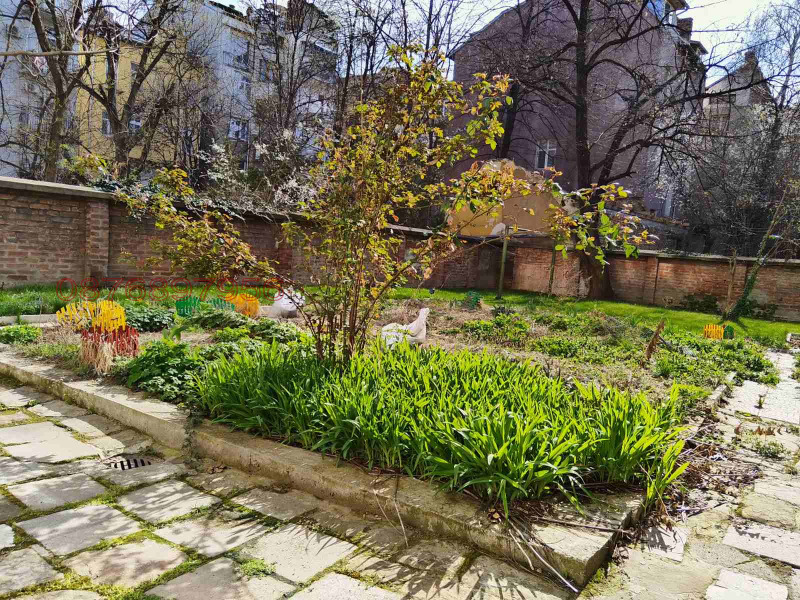 В аренду  Студия София , Център , 15 кв.м | 26981392 - изображение [12]