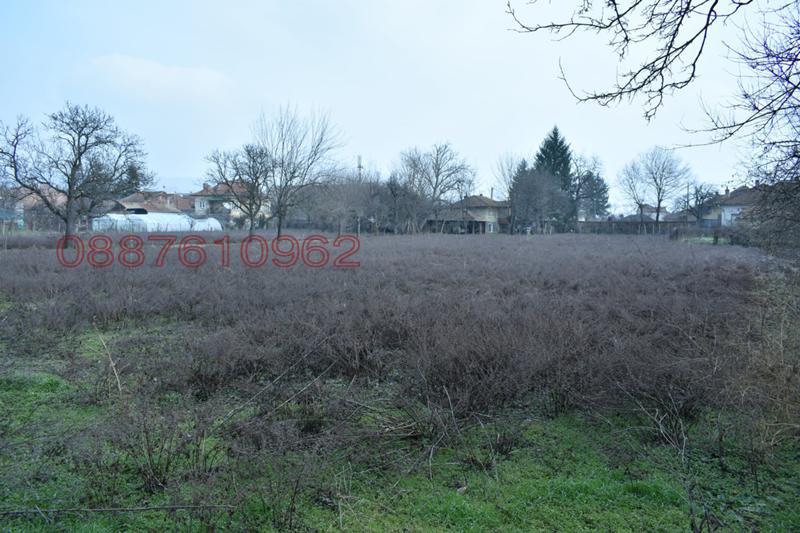 Дава под наем МЯСТО, с. Драганово, област Велико Търново, снимка 2 - Парцели - 52784064