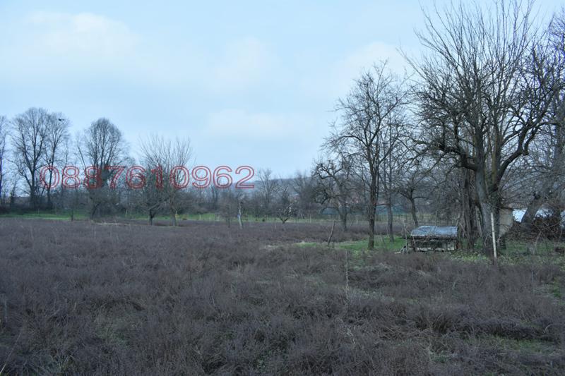 Дава под наем МЯСТО, с. Драганово, област Велико Търново, снимка 9 - Парцели - 52784064