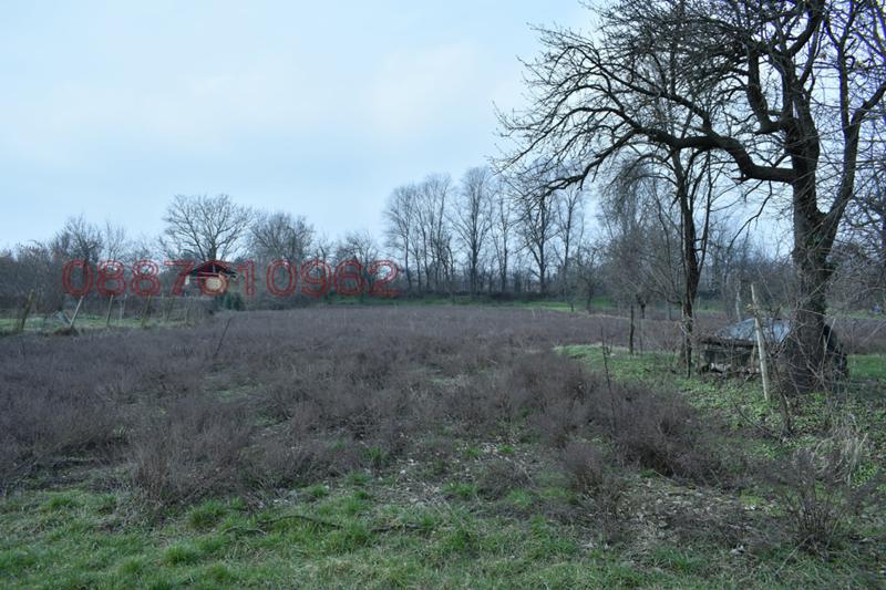 Дава под наем МЯСТО, с. Драганово, област Велико Търново, снимка 3 - Парцели - 52784064