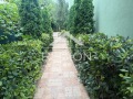Дава под наем  3-стаен град Варна , Виница , 80 кв.м | 35565139 - изображение [11]