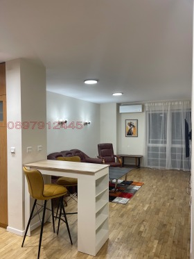 1 chambre Tsentar, Sofia 1