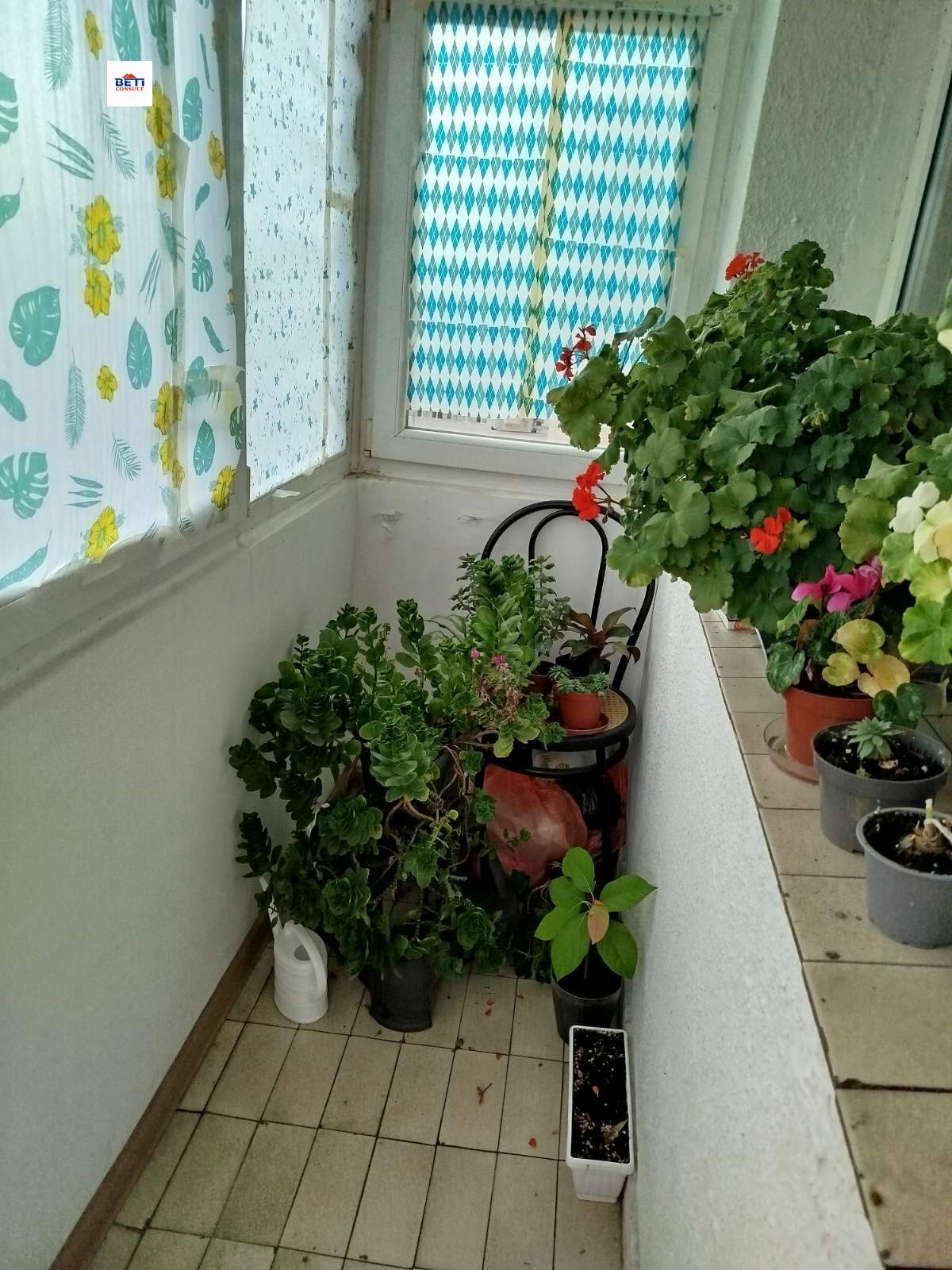 ���� ��� ���� ���� | Imot.bg � ����������� 5
