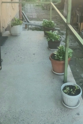 1 soveværelse Tsentar, Sofia 10
