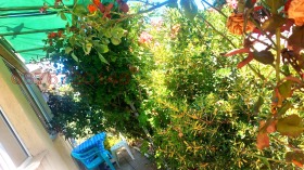    2- | Imot.bg    6