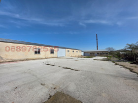 ����� ���� ��� ���� �������/�����,�. �����, ������ ��������