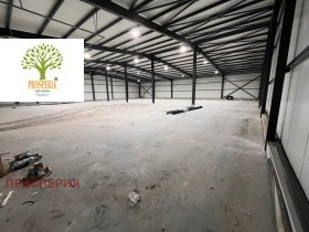 ����� ���� ��� ���� �����,�. ���������, ������ �����