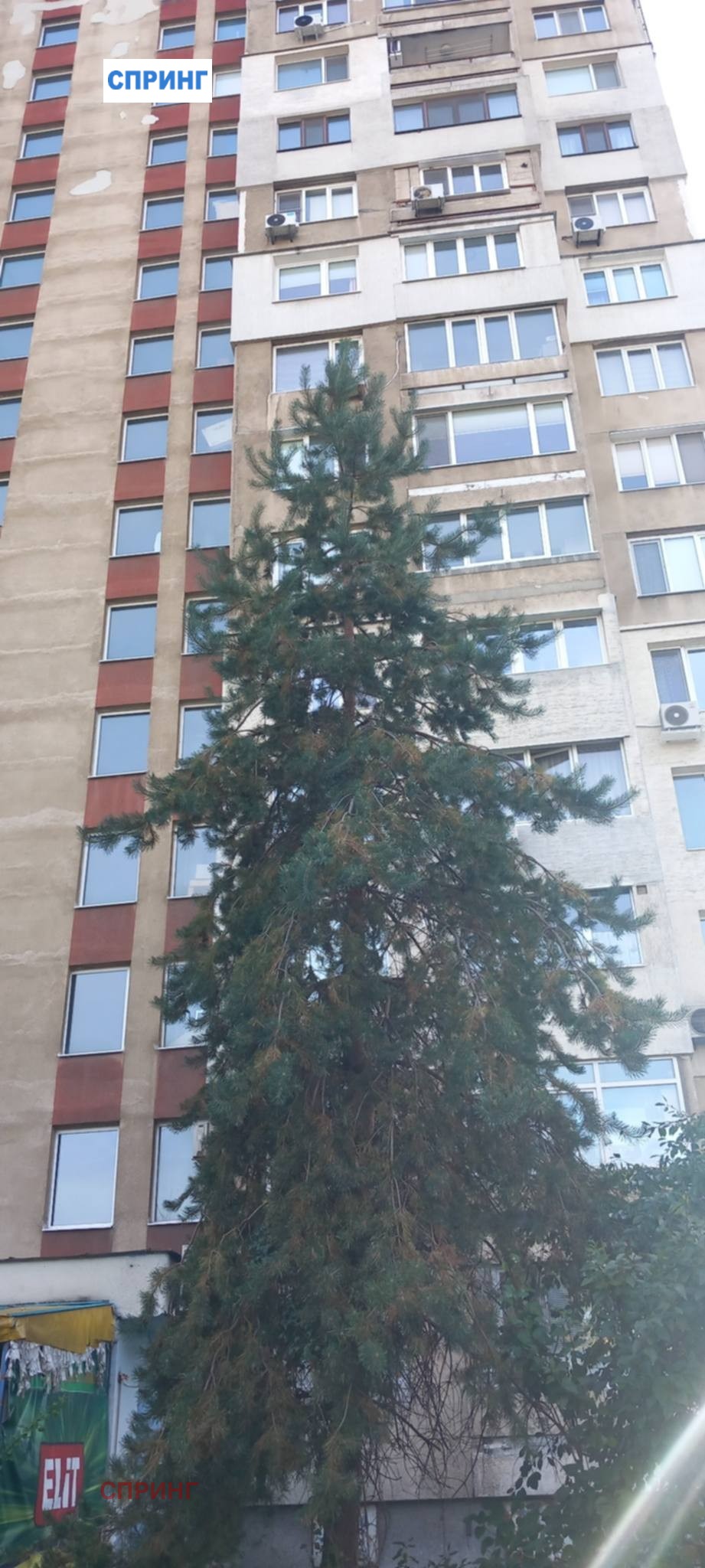 Дава под наем АТЕЛИЕ, ТАВАН, гр. София, Люлин 3