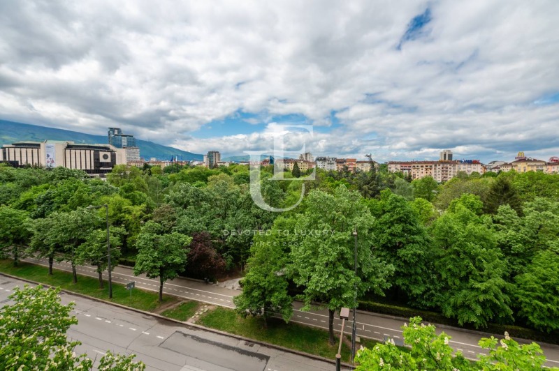 Te huur  Kantoor Sofia , Tsentar , 300 m² | 78592348 - afbeelding [12]